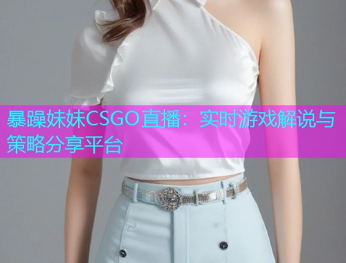 暴躁妹妹CSGO直播：实时游戏解说与策略分享平台