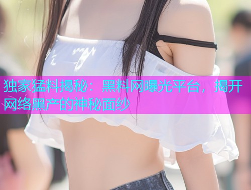 独家猛料揭秘：黑料网曝光平台，揭开网络黑产的神秘面纱
